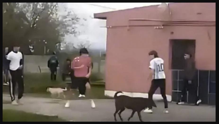 926x0_84774_20250327075309