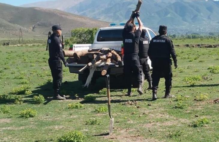 730x473_250408131233_51471