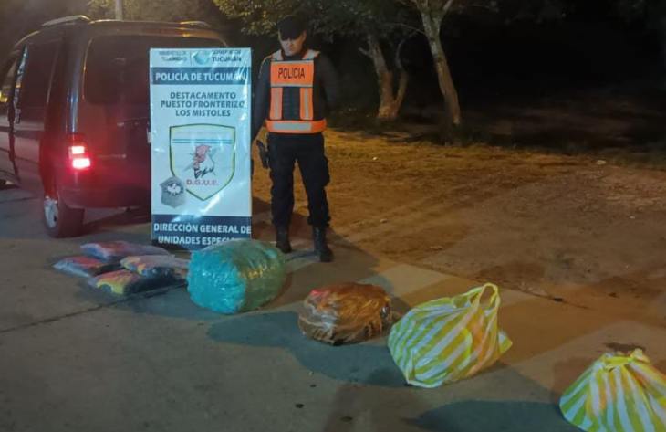 730x473_250409113128_35696