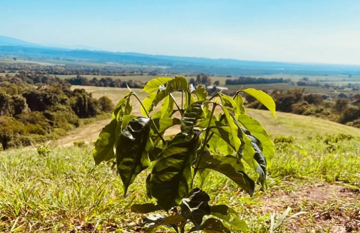 730x473_250428102546_45909