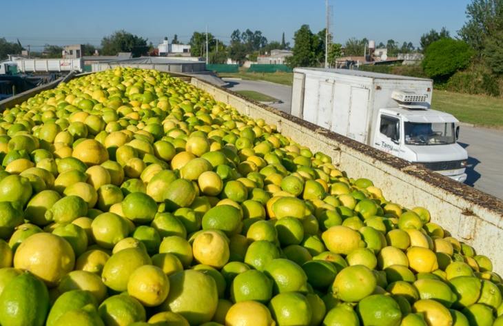 730x473_250429105407_97457