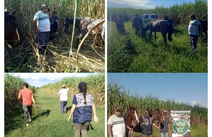 730x473_250430082855_58078