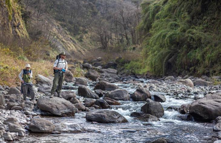 730x473_250509092144_52707