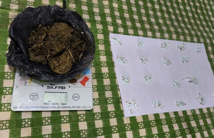 730x473_250519124542_77860