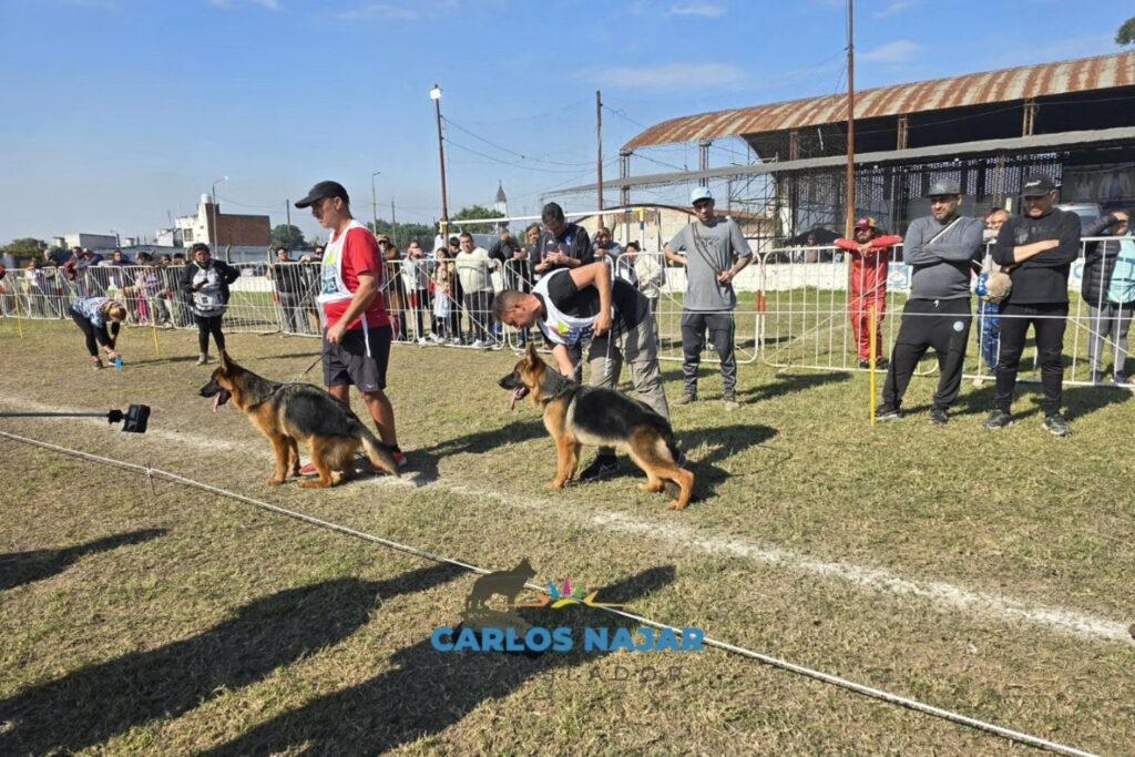 505736950_1030228335922593_4311714557330864294_n