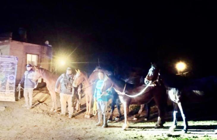 730x473_250712120853_15380