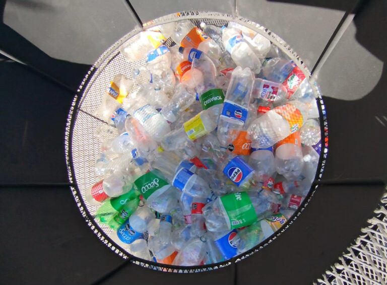 528929977_1077934411151985_5228946787204939400_n