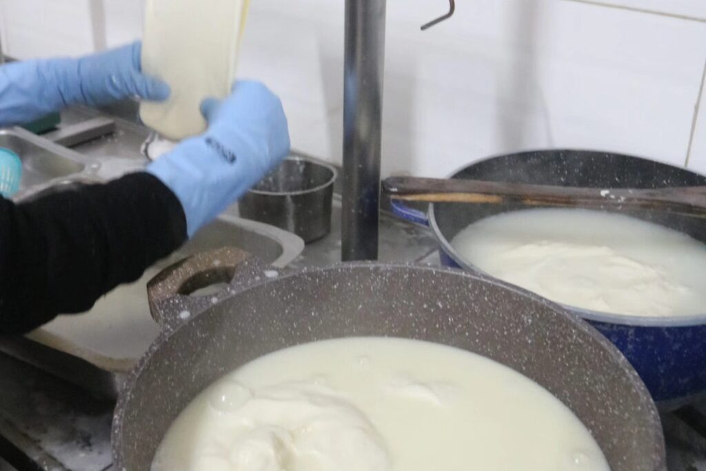 529269446_1078039337808159_5458194300613671299_n