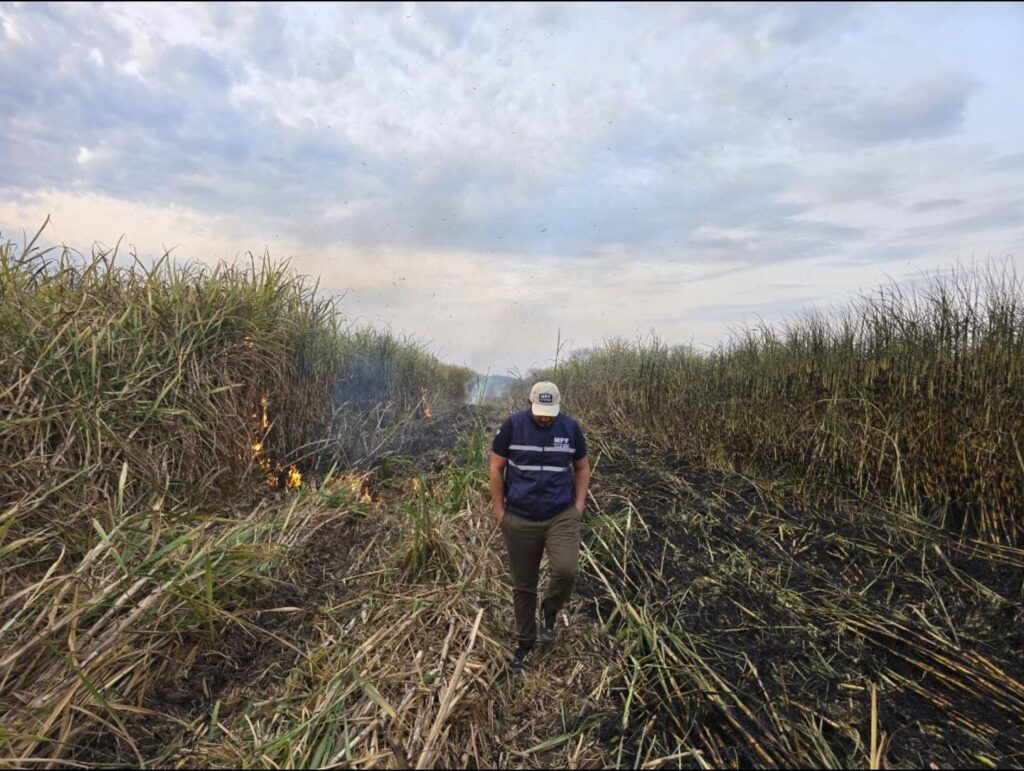 a8998202-25a4-4073-b930-5ed817529d6c