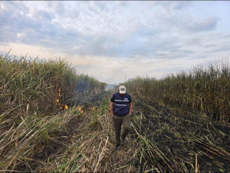 a8998202-25a4-4073-b930-5ed817529d6c