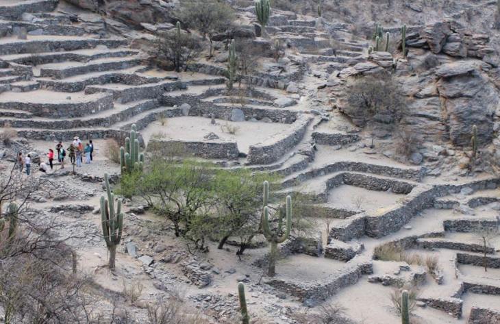 730x473_250902081853_87429