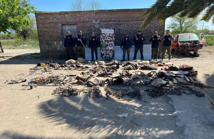 730x473_250907185500_54232