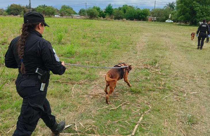 730x473_251002084051_43485