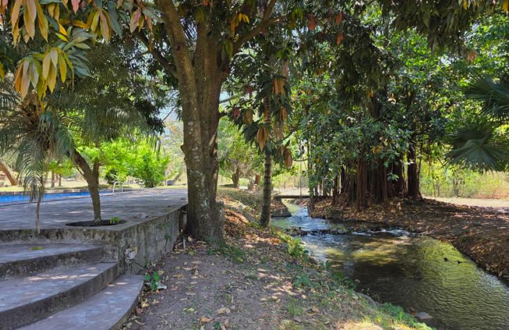 730x473_251015145347_36329