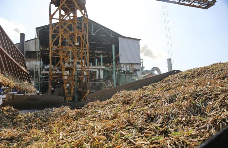 730x473_251023170037_89630