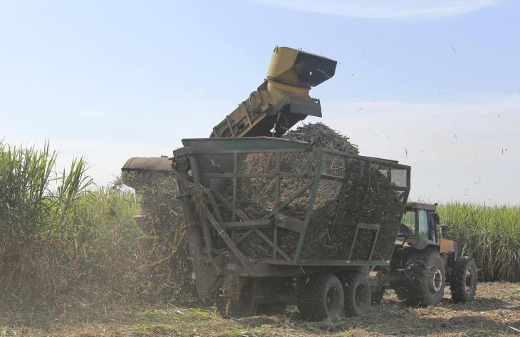 730x473_251117112602_56949