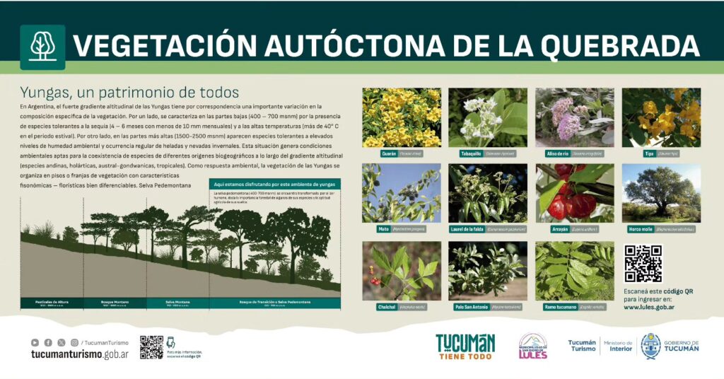 605227589_1186179626994129_1411187098137439958_n