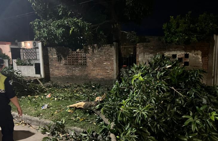 730x473_251209074858_60550