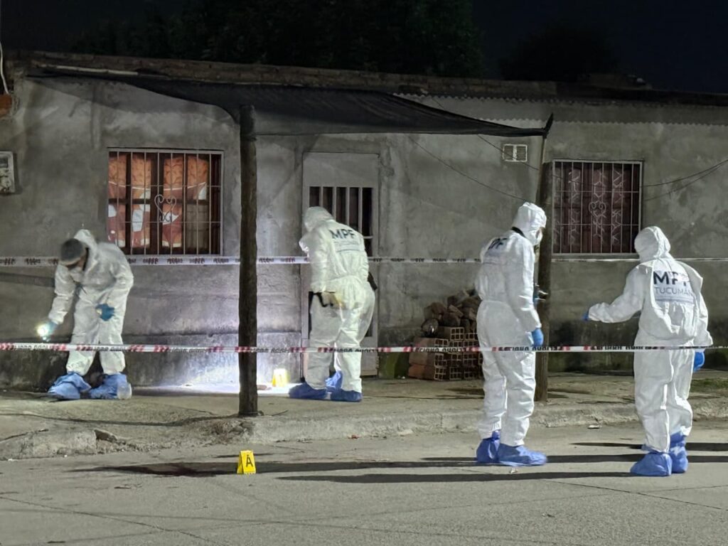 dc9785d1-d066-4078-8fc5-1d6ff18fd86b (1)