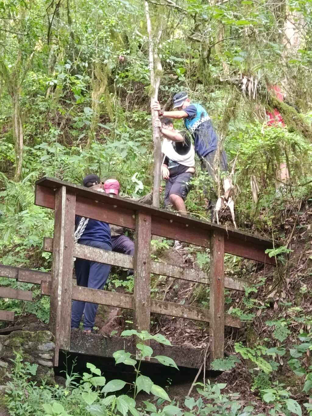 726fc8b4-ba0d-4be5-81be-6dfd45901667