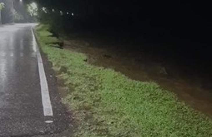 730x473_260119085448_59986