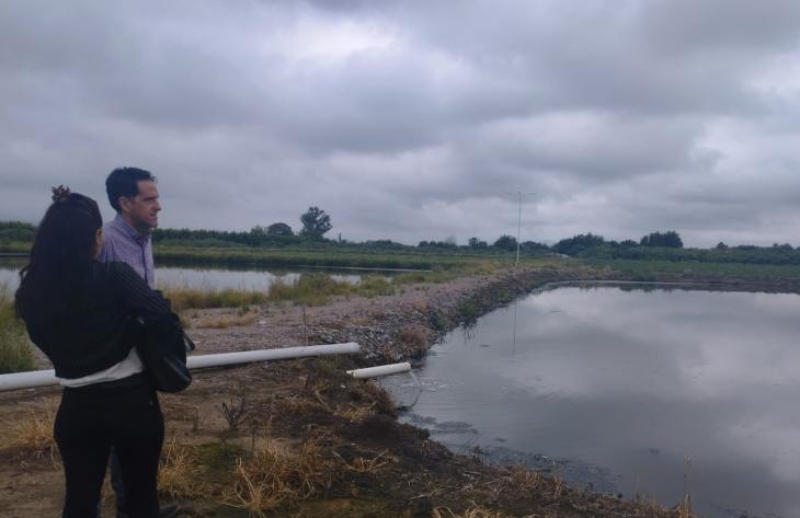 730x473_260211161133_63222