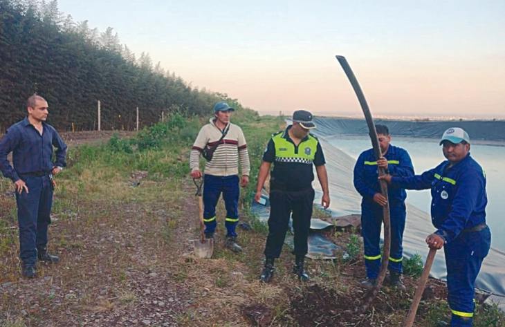 730x473_260224135706_67310