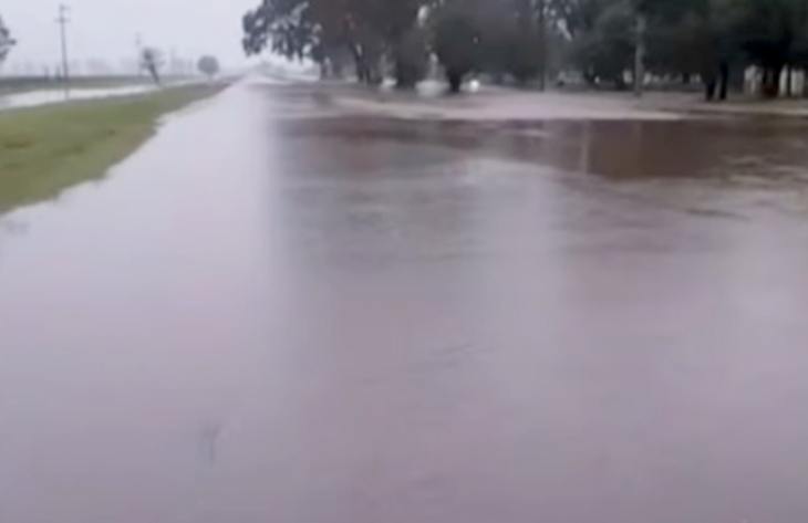 730x473_260309104905_43300