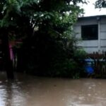 730x473_260311102635_88556