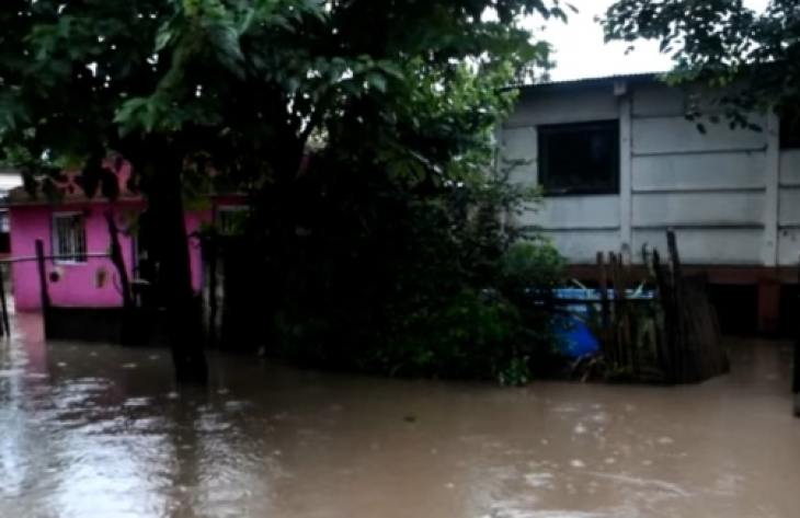 730x473_260311102635_88556