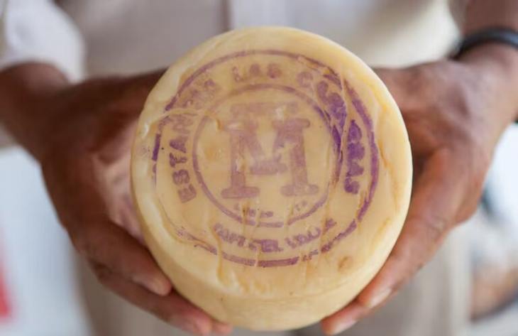 730x473_260330104743_53271