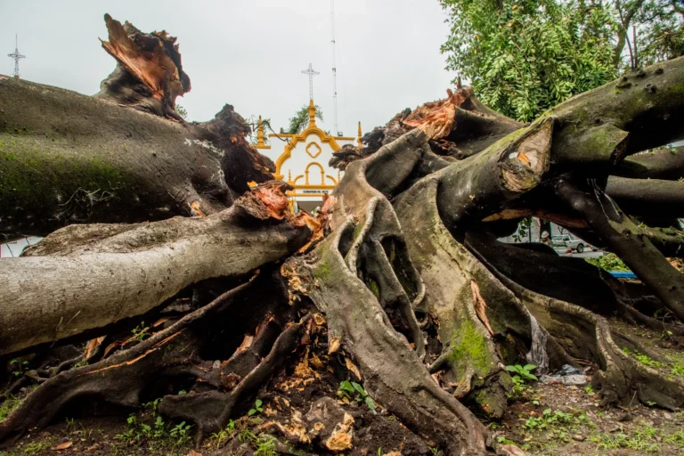 multimedia.grande.8c9db31e996e1e7e.Z3JhbmRlLndlYnA=