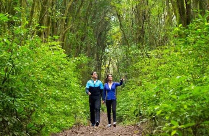 730x473_260410143018_70499