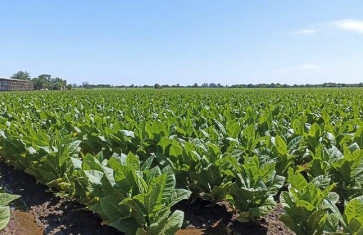 730x473_260416125209_20113