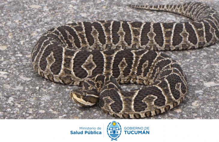 730x473_260420111514_49124