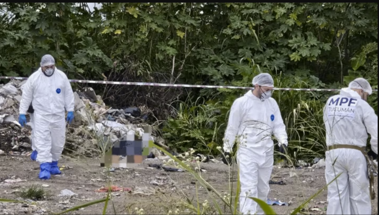 caso erika