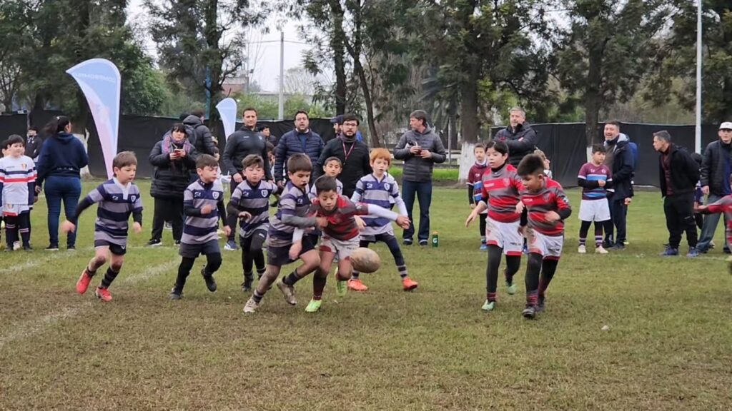 rugby