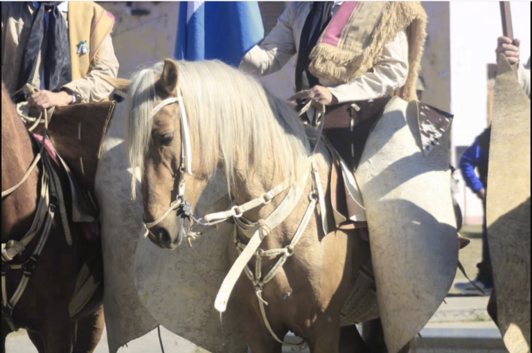 caballo 2