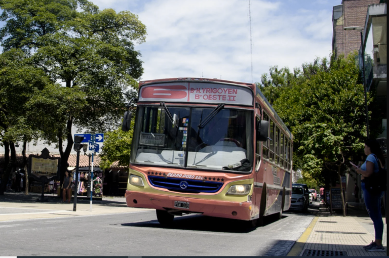 colectivo