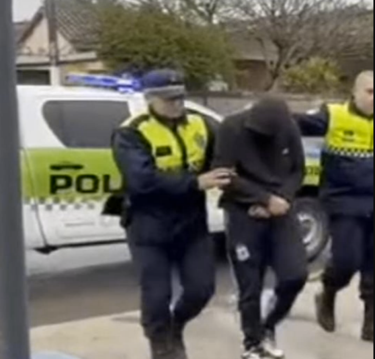 detenido