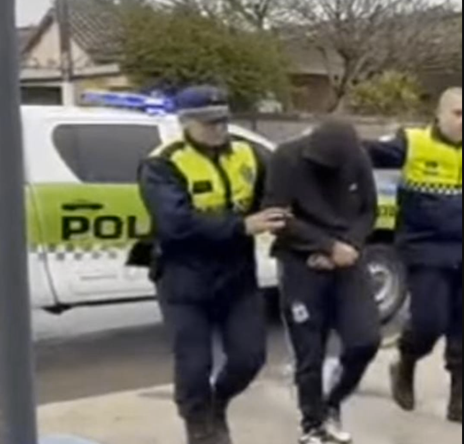 detenido